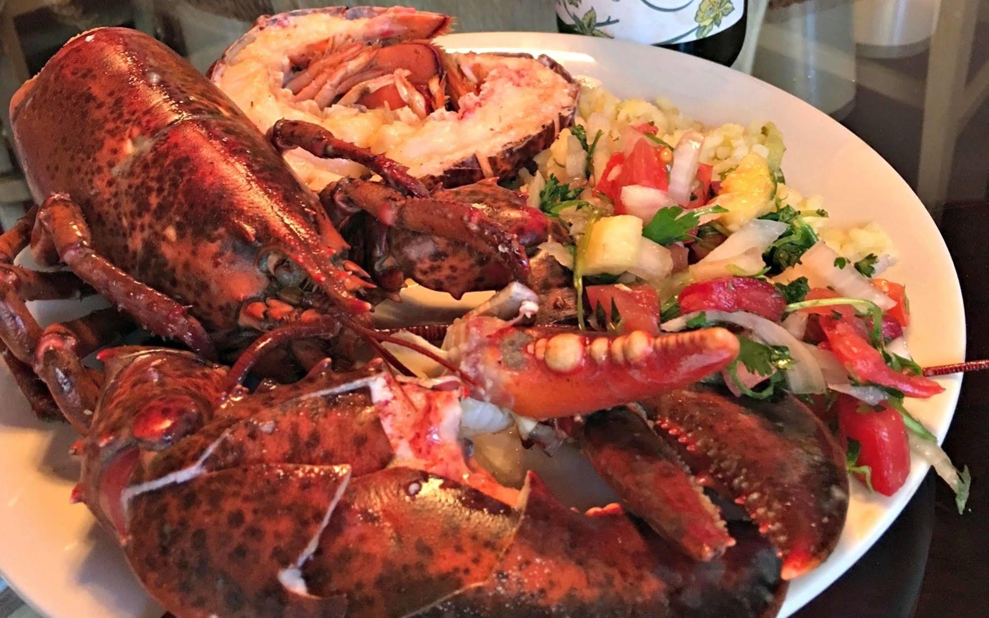 Alpenhorn Bed And Breakfast Big Bear Lake Εξωτερικό φωτογραφία