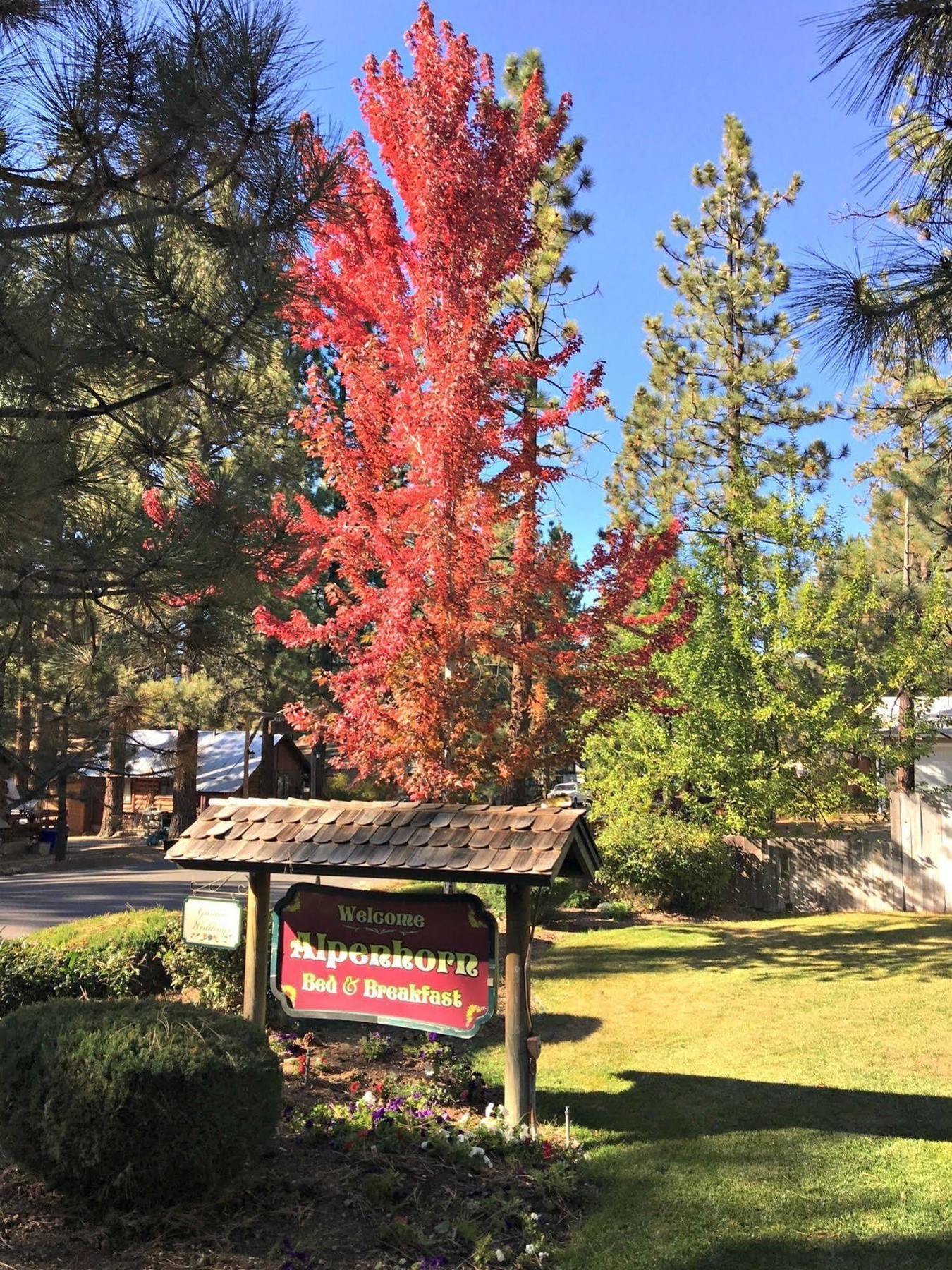 Alpenhorn Bed And Breakfast Big Bear Lake Εξωτερικό φωτογραφία
